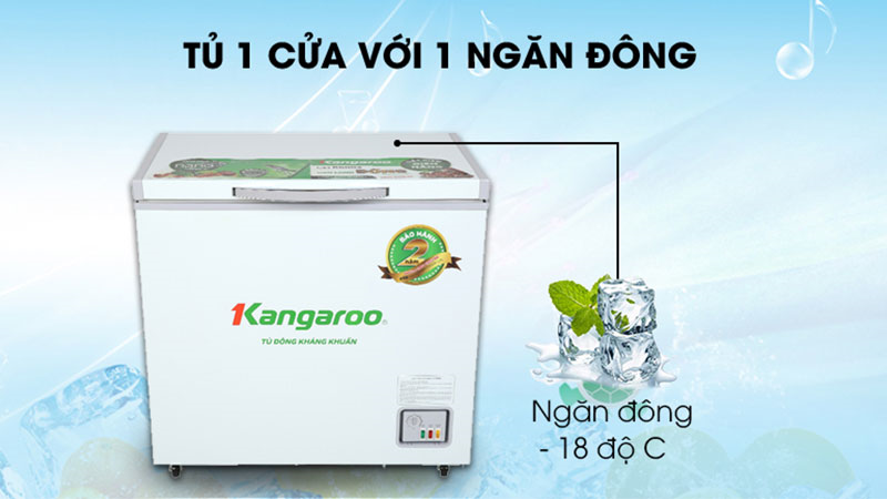 Loại 1 ngăn đông